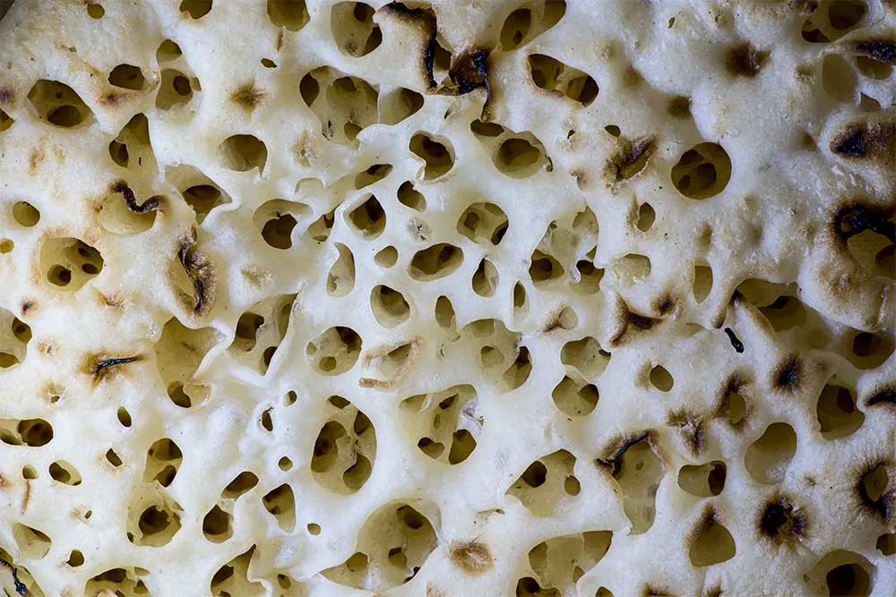 Macro photo showing porous natural surface texture with intricate detail and lighting contrast.
